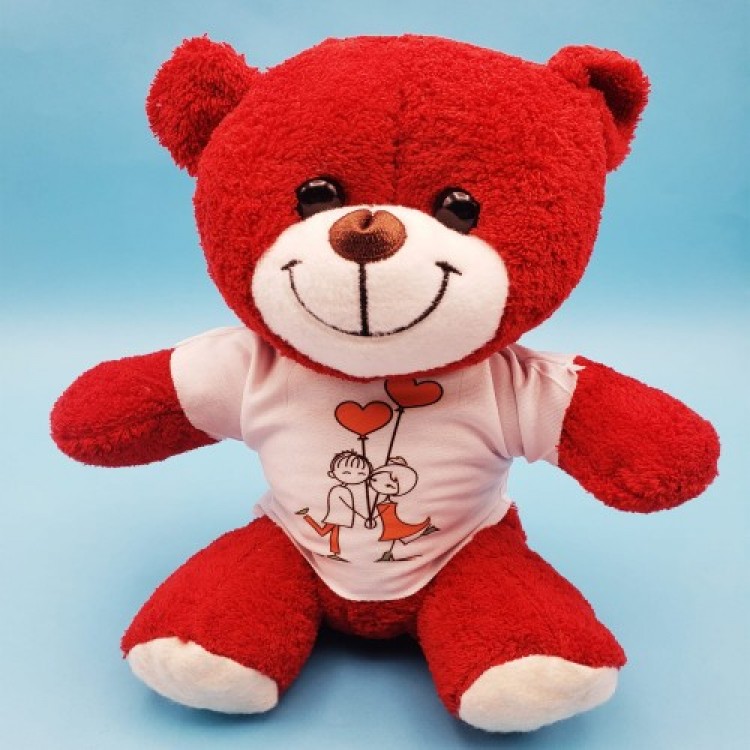Red Toy Bear in a T-Shirt Red Toy Bear in a T-Shirt