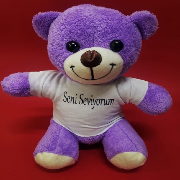 I Love You T-Shirt Plush Bear