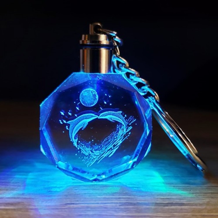 Color-Changing Light-Up Keychain with Dolphin Design Color-Changing Light-Up Keychain with Dolphin Design