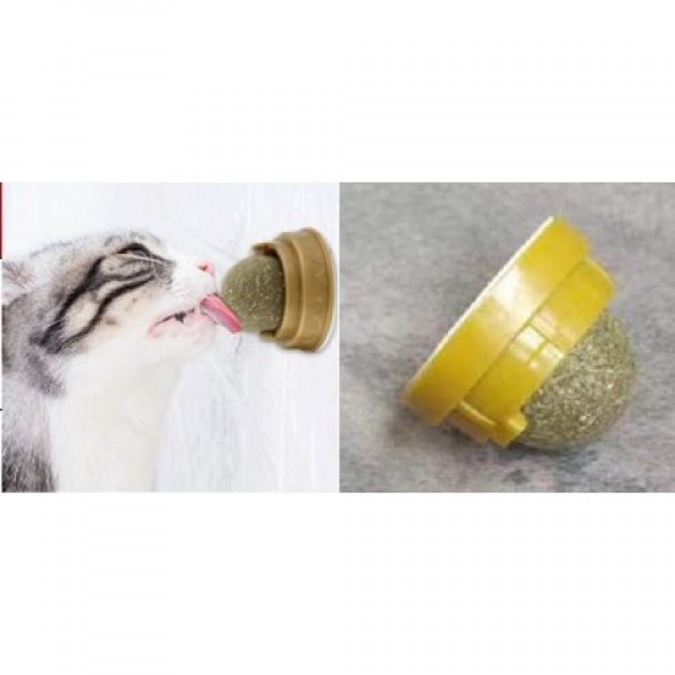 Nanesi Topu Cat Nanesi Topu Cat