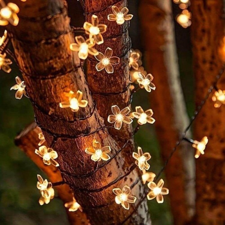 Solar 5m 50 LED Daisy Daylight 8 Functions