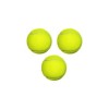 Dog Ball Tennis Ball