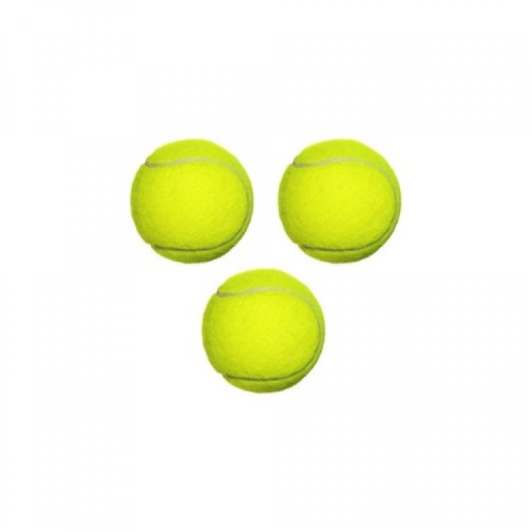 Dog Ball Tennis Ball