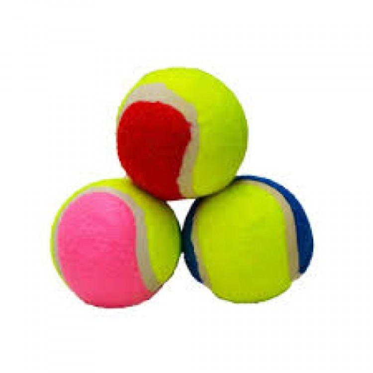 Dog Ball Tennis Ball